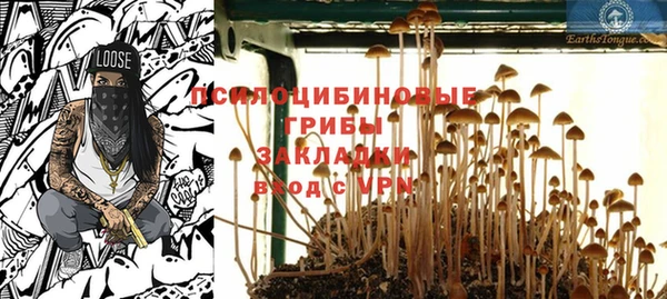 стаф Липки