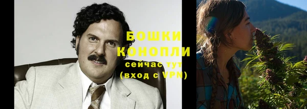 стаф Липки