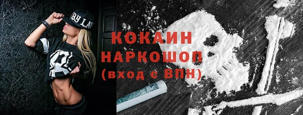 стаф Липки
