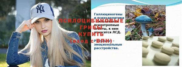 стаф Липки