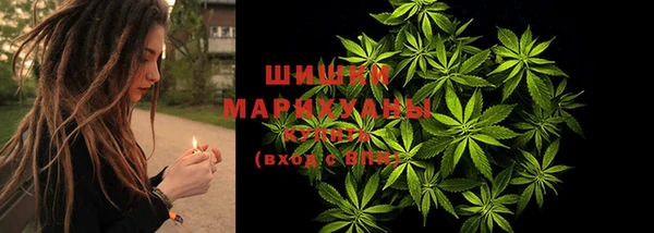 стаф Липки
