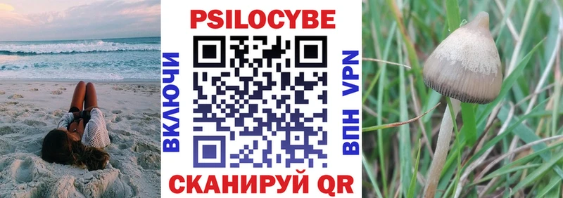 Псилоцибиновые грибы прущие грибы  Купить  Лесозаводск 